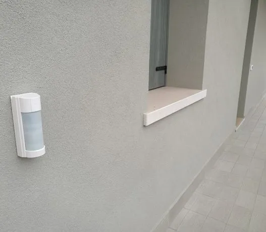 Immagine - Sicurezza perimetrale